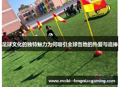 足球文化的独特魅力为何吸引全球各地的热爱与追捧