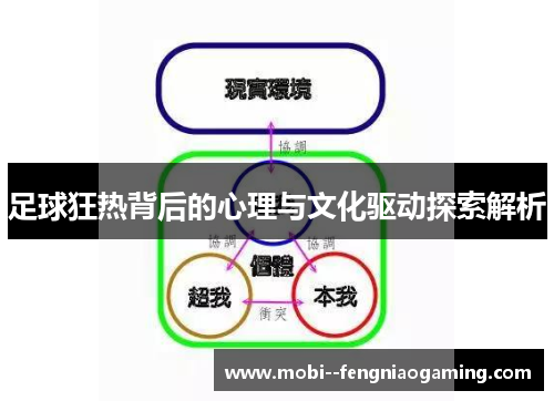 足球狂热背后的心理与文化驱动探索解析