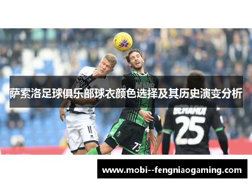 萨索洛足球俱乐部球衣颜色选择及其历史演变分析