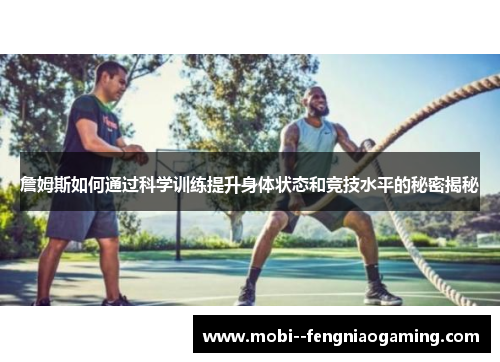 詹姆斯如何通过科学训练提升身体状态和竞技水平的秘密揭秘