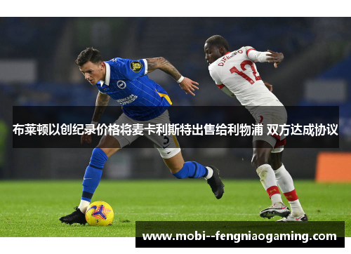 布莱顿以创纪录价格将麦卡利斯特出售给利物浦 双方达成协议