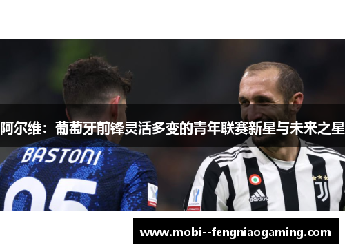 阿尔维：葡萄牙前锋灵活多变的青年联赛新星与未来之星