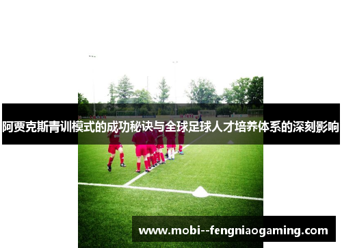 阿贾克斯青训模式的成功秘诀与全球足球人才培养体系的深刻影响