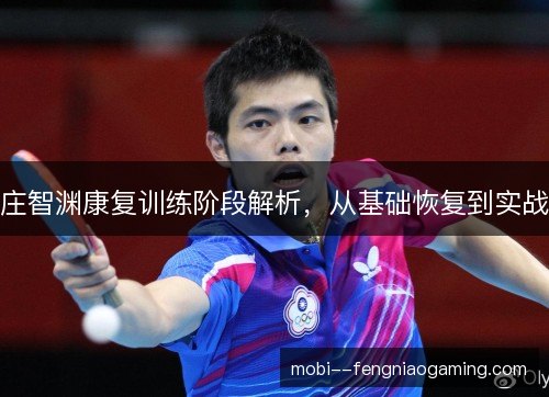 庄智渊康复训练阶段解析，从基础恢复到实战