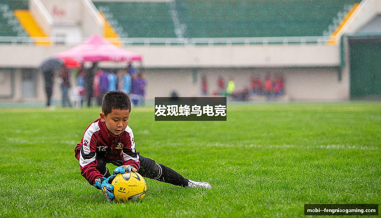 发现蜂鸟电竞